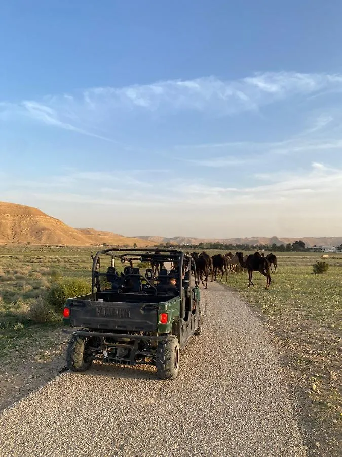 منتجع جلامبنغ - Glamping Resort الرياض
