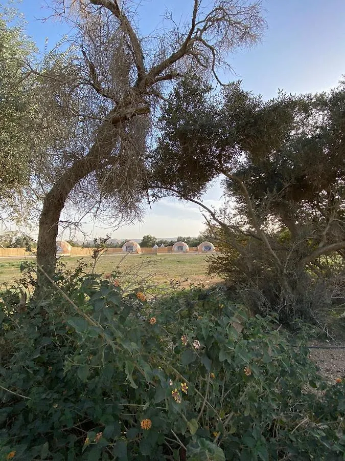 منتجع جلامبنغ - Glamping Resort Riyadh
