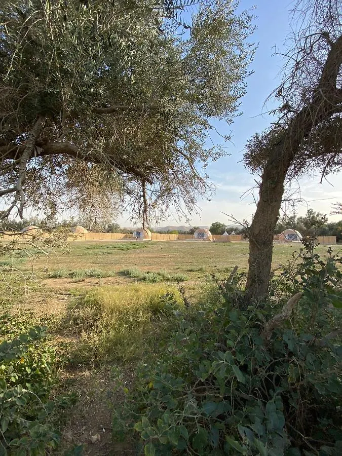 منتجع جلامبنغ - Glamping Resort Ριάντ 0*,