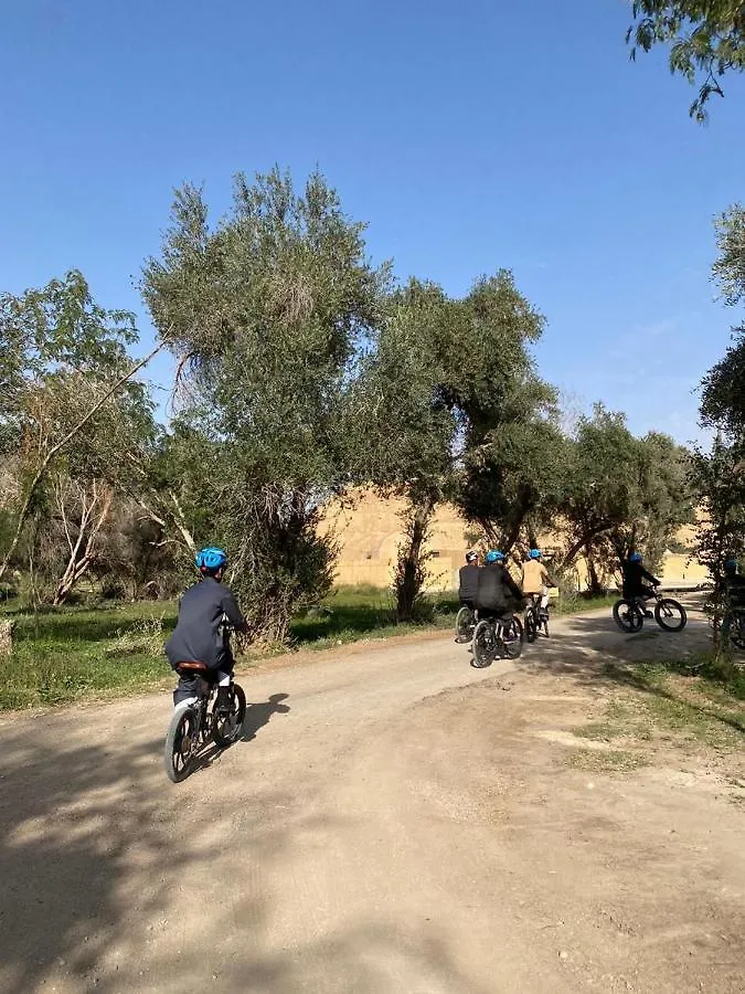 منتجع جلامبنغ - Glamping Resort Ριάντ