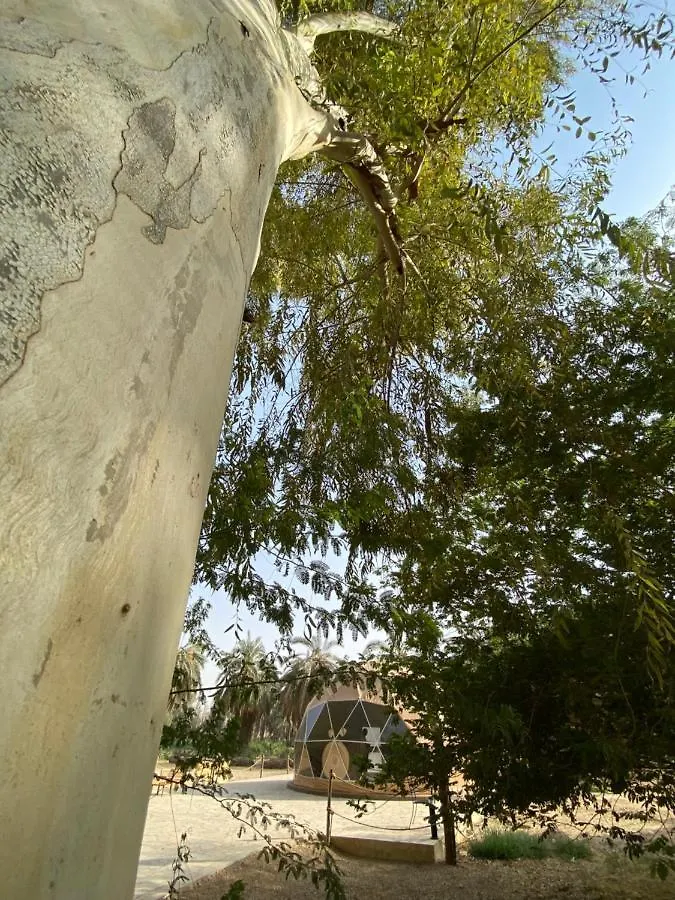 منتجع جلامبنغ - Glamping Resort Ριάντ